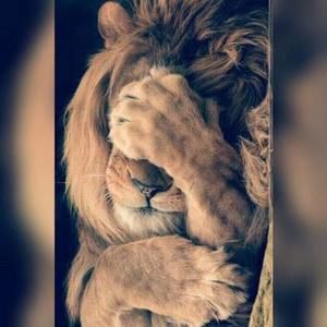 Meet your Posher, Le